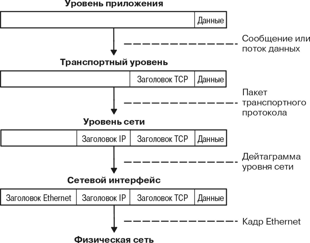 Доклад по теме Протокол надежной доставки сообщений TCP